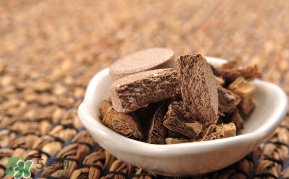 怀孕不能吃的中药(怀孕哪些药不能吃)