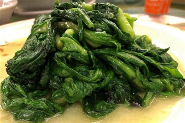 菊花菜的功效和作用(菊花菜的功效和作用禁忌人群) 菊花菜的功效和作用(菊花菜的功效和作用禁忌人群)