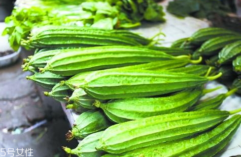 八棱瓜的种植技术(八棱瓜的种植技术) 八棱瓜的种植技术(八棱瓜的种植技术)