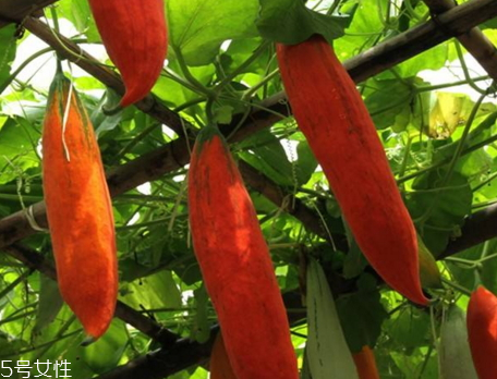 扣肉蒸多久最好(扣肉蒸多久最好)