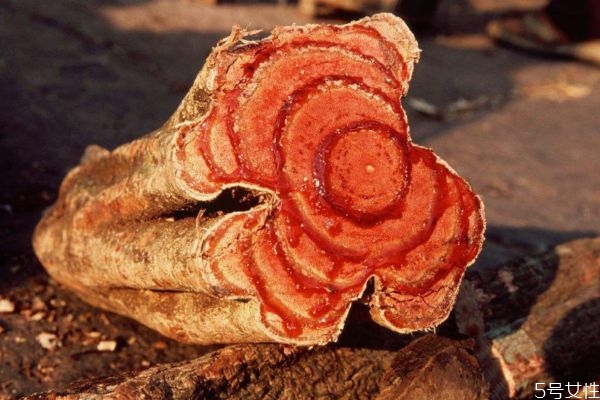 鸡血藤的服用方法(鸡血藤的服用方法)