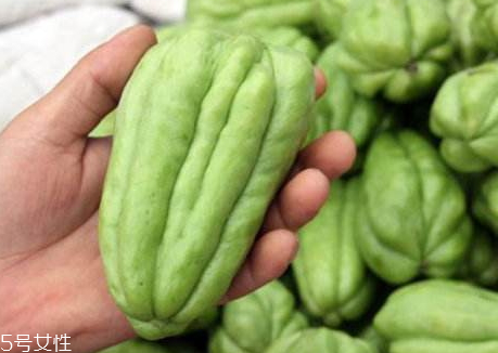 佛手瓜的生长习性(佛手瓜生长条件)