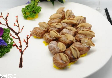 新鲜香螺储存方法(新鲜螺丝怎么保存)