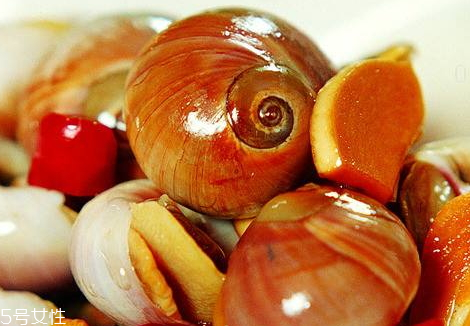 制作小贴士(制作小贴士) 制作小贴士(制作小贴士)