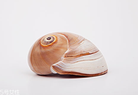 油爆螺球的做法(油爆螺片的做法大全)