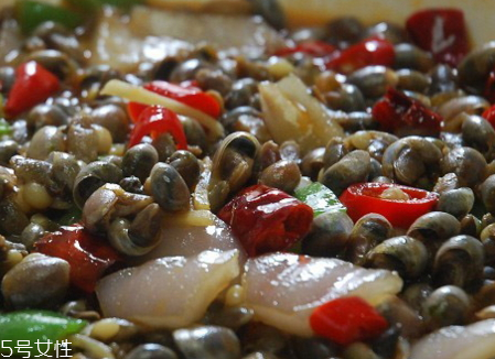 泥螺的生长习性(泥螺的生长环境)