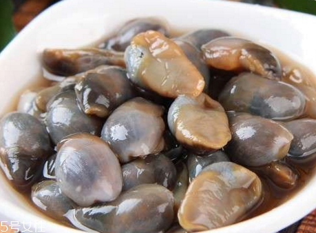 泥螺的特征(泥螺的特征)