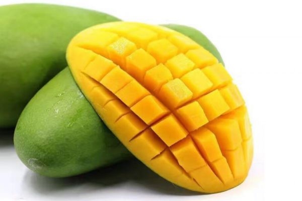 青芒放到什么程度可以吃(青芒放到什么程度可以吃) 青芒放到什么程度可以吃(青芒放到什么程度可以吃)