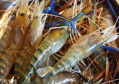 孕妇吃虾的最佳时间(孕妇吃虾的最佳时间) 孕妇吃虾的最佳时间(孕妇吃虾的最佳时间)