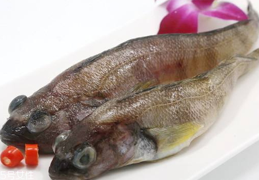南极鱼的吃法(南极鱼怎么做才好吃)