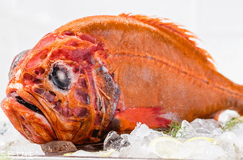 长寿鱼的分布范围(长寿湖鱼的种类)