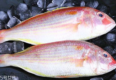 红衫鱼的吃法(红衫鱼的吃法)