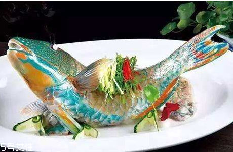 石斑鱼的特征(石斑鱼的特征是什么)