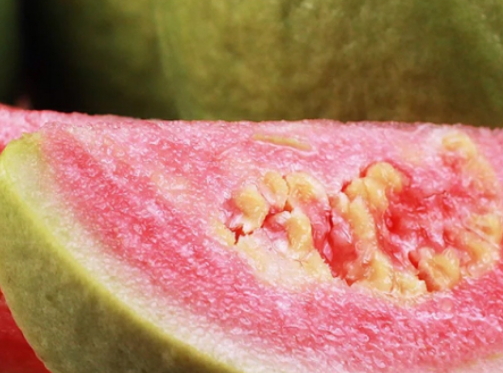 红心芭乐怎么看生熟(红心芭乐怎么看熟没熟)