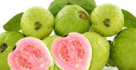 红心芭乐比白心芭乐更原始(红心芭乐和白心芭乐)