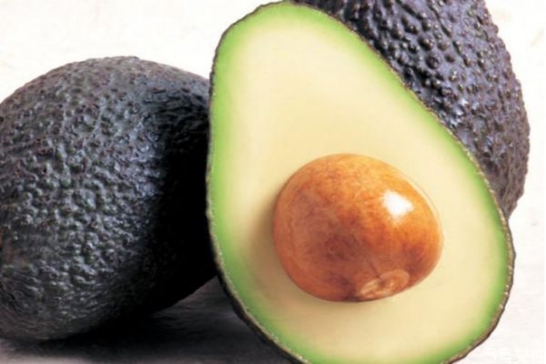 牛油果的营养价值(牛油果的营养价值及功效和作用) 牛油果的营养价值(牛油果的营养价值及功效和作用)