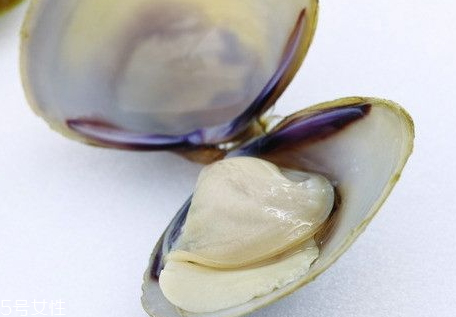 河蚌肉的做法(河蚌肉的做法大全) 河蚌肉的做法(河蚌肉的做法大全)