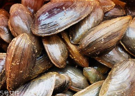 河蚌怎么吃(河蚌怎么吃处理方法视频)