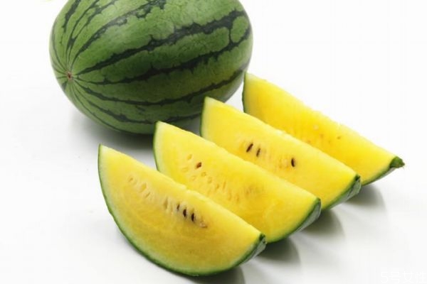 黄瓤西瓜的功效和作用(黄瓤西瓜的功效和作用) 黄瓤西瓜的功效和作用(黄瓤西瓜的功效和作用)
