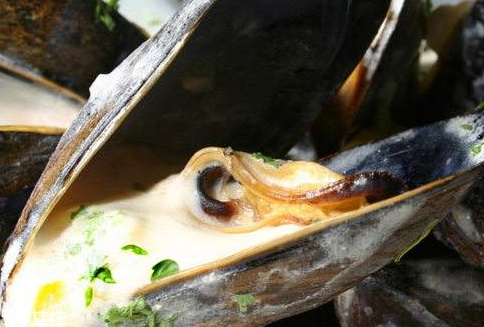 河蚌怎么处理(河蚌怎么处理干净)