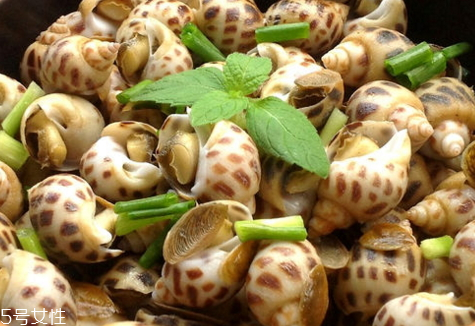 花螺哪些人不能吃(花螺哪些人不能吃)