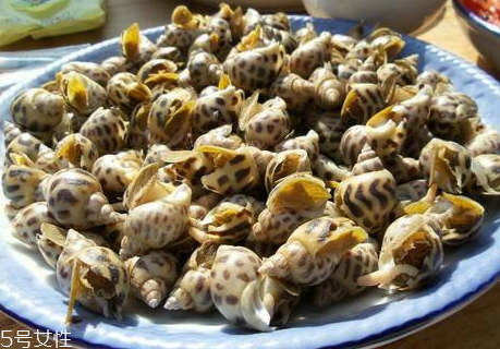 花螺怎么炒好吃(炒花螺怎么炒好吃) 花螺怎么炒好吃(炒花螺怎么炒好吃)