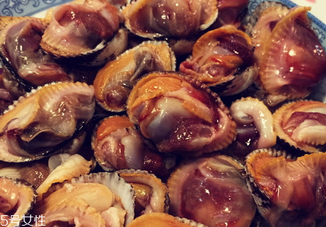 毛蚶没开口能吃吗(毛蚶没开口能吃吗)