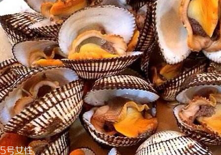 毛蚶的食用价值(毛蚶的营养价值)