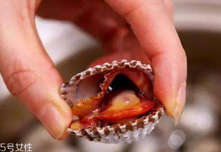 血蚶怎么吃好(血蚶的正确吃法)