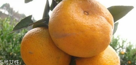 椪柑怎么吃(椪柑怎么吃)