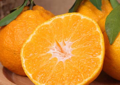 可以做成丑橘汁(丑橘怎么榨汁)