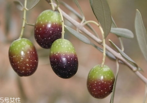怎么储存黄酒(怎么储存黄酒)