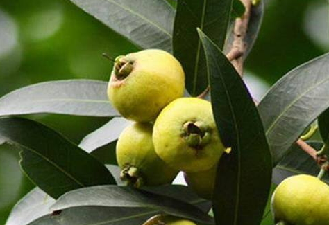 蛋皮的做法(蛋皮的做法家常做法)