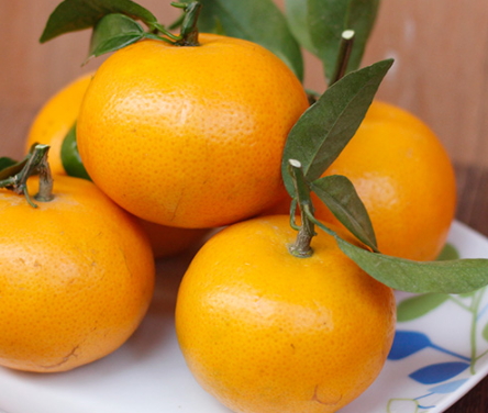 沃柑是什么水果(沃柑是什么水果是橙子吗)