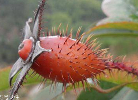 白切鸡的浸泡方法(白切鸡的浸泡方法) 白切鸡的浸泡方法(白切鸡的浸泡方法)