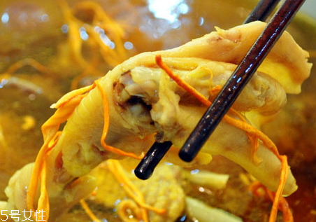 虫草花的作用(虫草花的作用和功效)