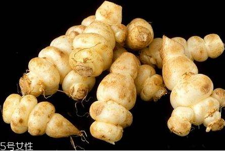 地笋的营养成分(地笋的营养成分?)