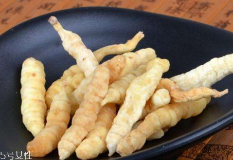 白虫草的用法(白虫草的功效和用途用法用量)