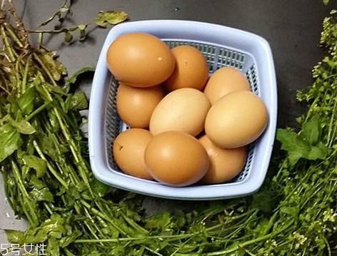 地菜花煮鸡蛋的做法(地菜花煮鸡蛋的做法窍门)