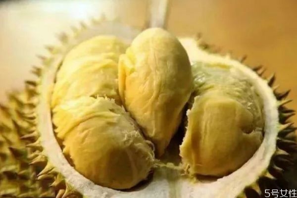 榴莲高温熟得快还是低温(榴莲在什么情况下熟的比较快) 榴莲高温熟得快还是低温(榴莲在什么情况下熟的比较快)