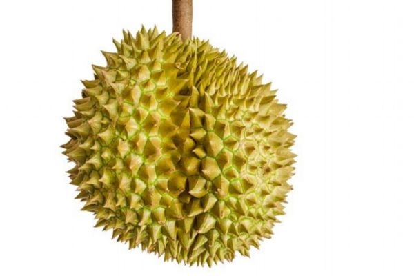 榴莲的营养价值(榴莲的营养价值和食用功效)