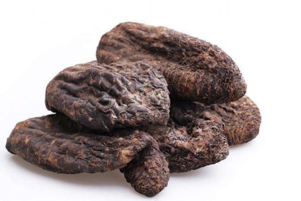 吃肉苁蓉要注意哪些(吃肉苁蓉有什么禁忌) 吃肉苁蓉要注意哪些(吃肉苁蓉有什么禁忌)