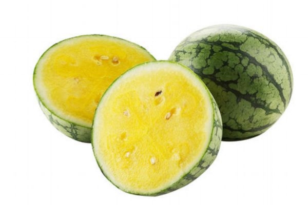 黄心西瓜是转基因的吗(黄西瓜是转基因西瓜吗)