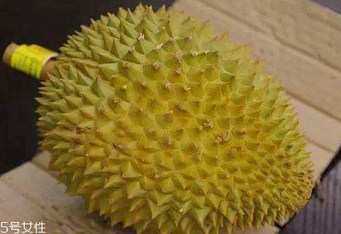 猫山王榴莲的特点(猫山王榴莲的特点是什么)