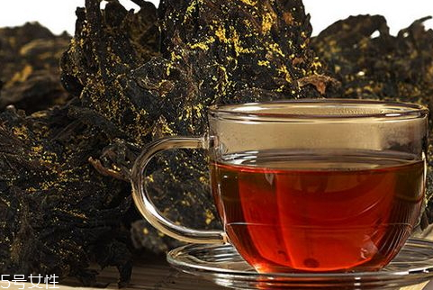 茯砖茶怎么喝降血糖(茯茶降血糖吗)