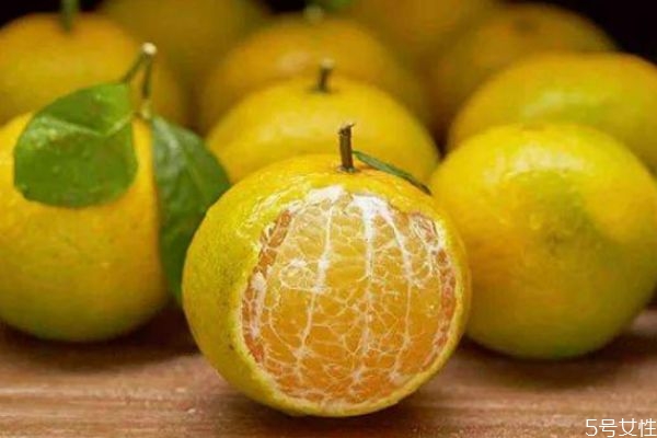 皇帝柑是橘子还是橙子(皇帝柑是橘子还是橙子?)