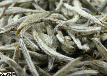 白毫银针保存方法(白毫银针如何保存) 白毫银针保存方法(白毫银针如何保存)