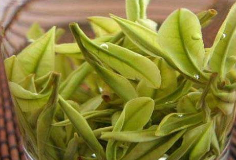 白茶冲泡步骤(白茶的冲泡方法和步骤)