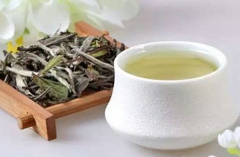 白茶的功效和作用(白茶的功效和作用女人适合喝白茶) 白茶的功效和作用(白茶的功效和作用女人适合喝白茶)