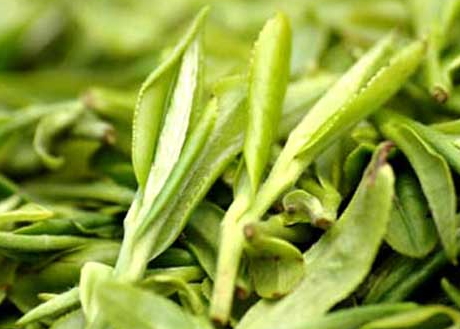 一年四季喝龙井的好处(龙井一年四季都能喝吗)